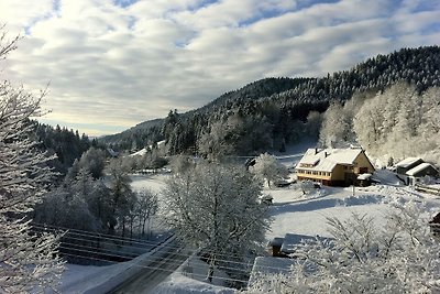 Vakantieappartement Gezinsvakantie Alpirsbach