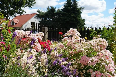 Pension Limone Ferienwohnung 2