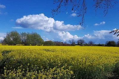 Ferienhof Kruse Wohnung 4