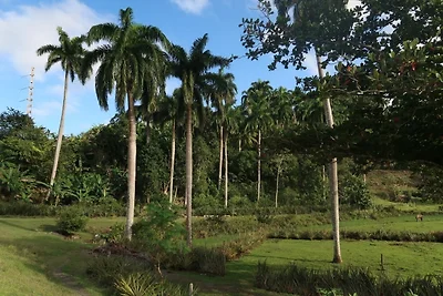 Appartamento Vacanza con famiglia Baracoa
