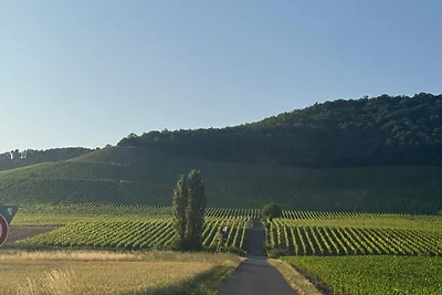 Appartamento Vacanza con famiglia Kitzingen