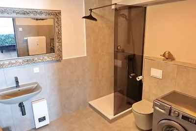 Toller Hecht - Traum in der