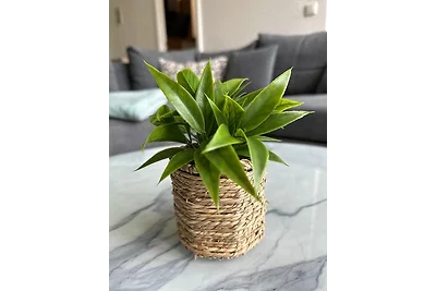 Appartamento Vacanza con famiglia Gera