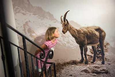 Bachgut Jagdhaus Chalet