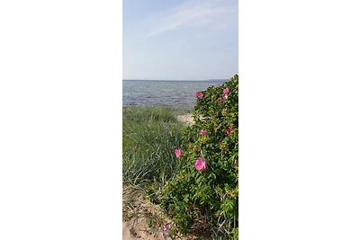 Leuchtturm am Strand - ABC56