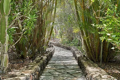 Domek letniskowy Urlop wypoczynkowy Fuencaliente