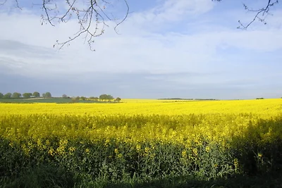 Kleine Auszeit
