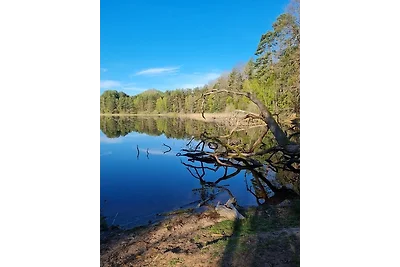 Wasgauer Felsen und Seenland