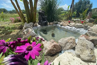 Vakantieappartement Gezinsvakantie 