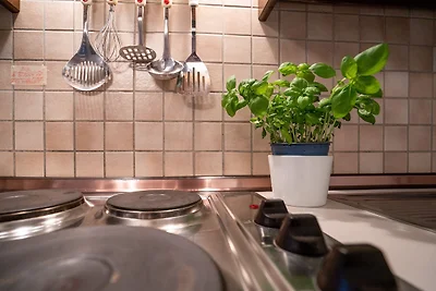 An der Waldkapelle 26 Waldblick