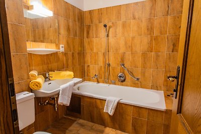 Vakantieappartement Gezinsvakantie Schladming