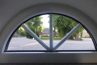 Sechs Schwäne