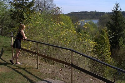 Vakantiehuis Ontspannende vakantie Feldberg