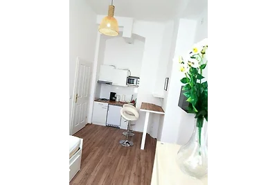 Klimatisiertes Apartment nahe Ring