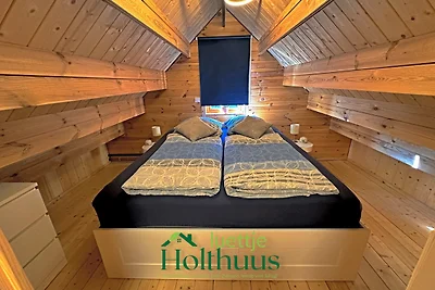 Ferienhaus "luettje Holthuus"