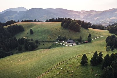 Vakantieappartement Gezinsvakantie Utzenfeld