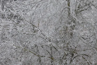 Ferienwohnung Seeblick Nr 1