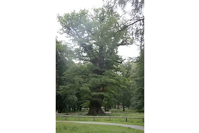 Vakantieappartement Gezinsvakantie Ivenack