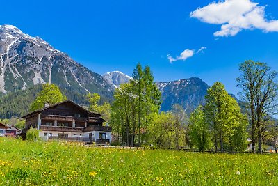 Vakantieappartement Gezinsvakantie Ramsau am Dachstein