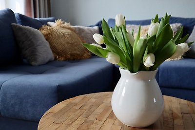 Ferienwohnung Meersalz