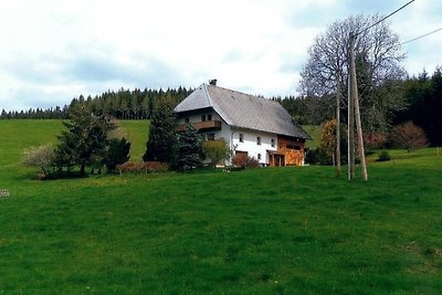 Vakantieappartement Gezinsvakantie Titisee-Neustadt