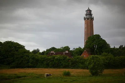 Haus Wildgans Ferienwohnung Rose
