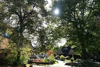 GH Superior Studio II-VI (12)