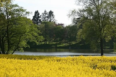 Appartamento Vacanza con famiglia Schashagen