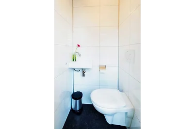 Elite Cube mit Dachterrasse.