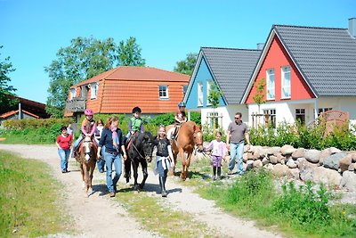 Appartamento Vacanza con famiglia Burg auf Fehmarn