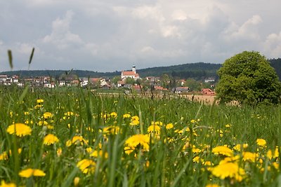 Vakantiehuis Ontspannende vakantie Stamsried