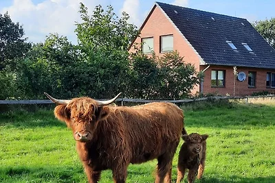 Kulumheide