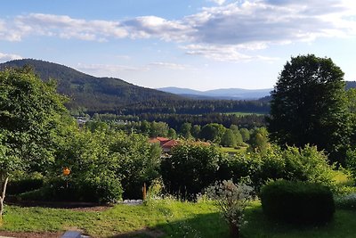 Vakantieappartement Gezinsvakantie Bodenmais