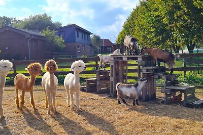 Vakantiehuis Ontspannende vakantie Kabelhorst