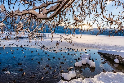 App. 1315 - "Auszeit" Kurhotel