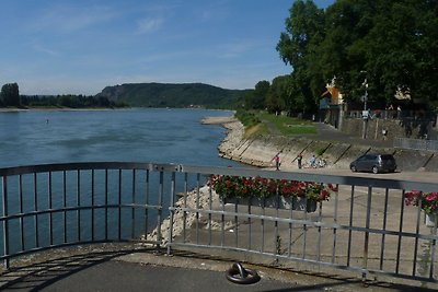 Vakantieappartement Gezinsvakantie Linz am Rhein