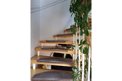 Ferienwohnung "Vier Sterne"