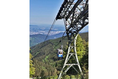 Appartamento Vacanza con famiglia Feldberg