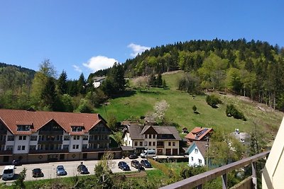 Vakantieappartement Gezinsvakantie Todtmoos