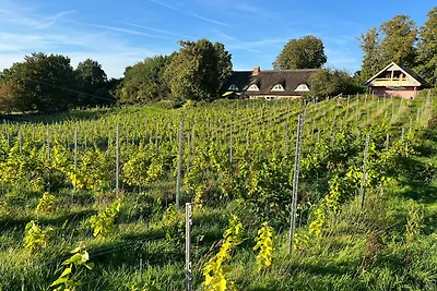 Appartamento Vacanza con famiglia Groß Rheide