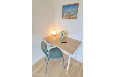 Wilde Möwe No. 29 - Aurora Vista -