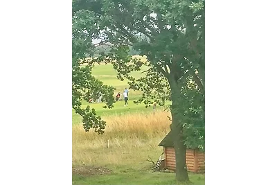 Birdielounge No. 25 - Aurora Vista