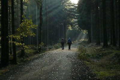 Appartamento Vacanza con famiglia Großhartmannsdorf