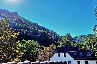 Vakantieappartement Gezinsvakantie Bad Harzburg