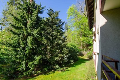 Vakantieappartement Gezinsvakantie Bad Sachsa