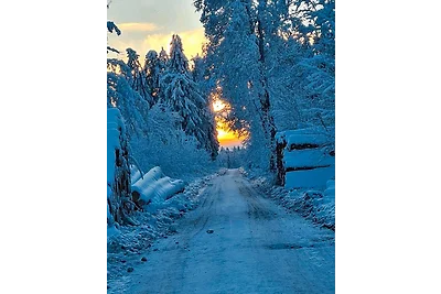 Ferienwohnung im Ferienpark