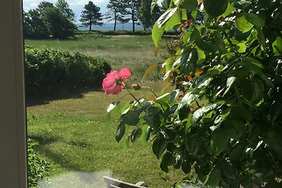 Vakantiehuis Ontspannende vakantie Glücksburg