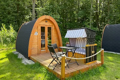 36 Mini Pod "Sorge"