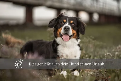 Vakantieappartement Gezinsvakantie Dorum