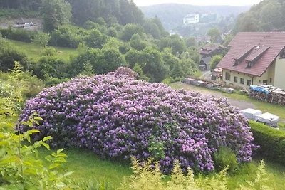 Casa vacanze Vacanza di relax Stolberg